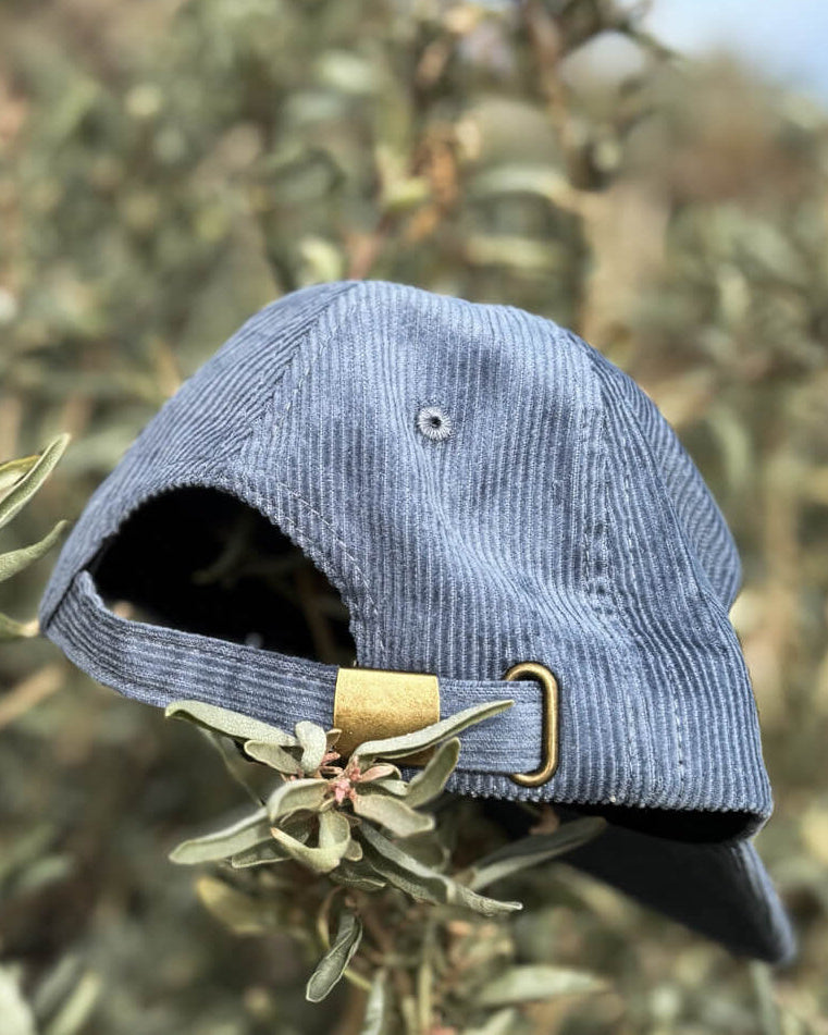 boys Blue cap with gold buckle on a branch

